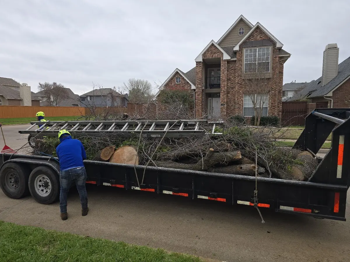 Expert Tree Fertilization with proper safety equipment in Glencoe